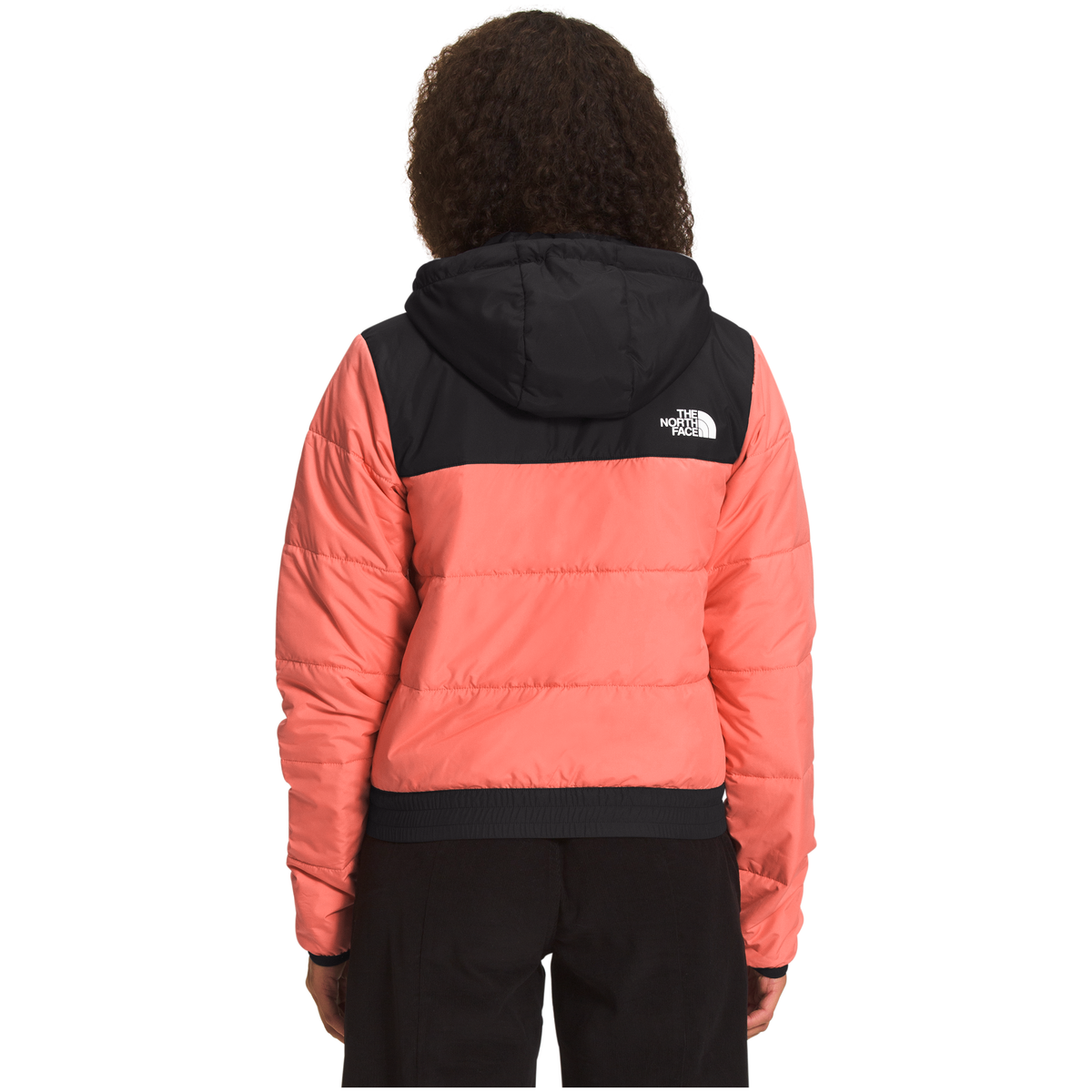 The north face panel 2025 padded jacket
