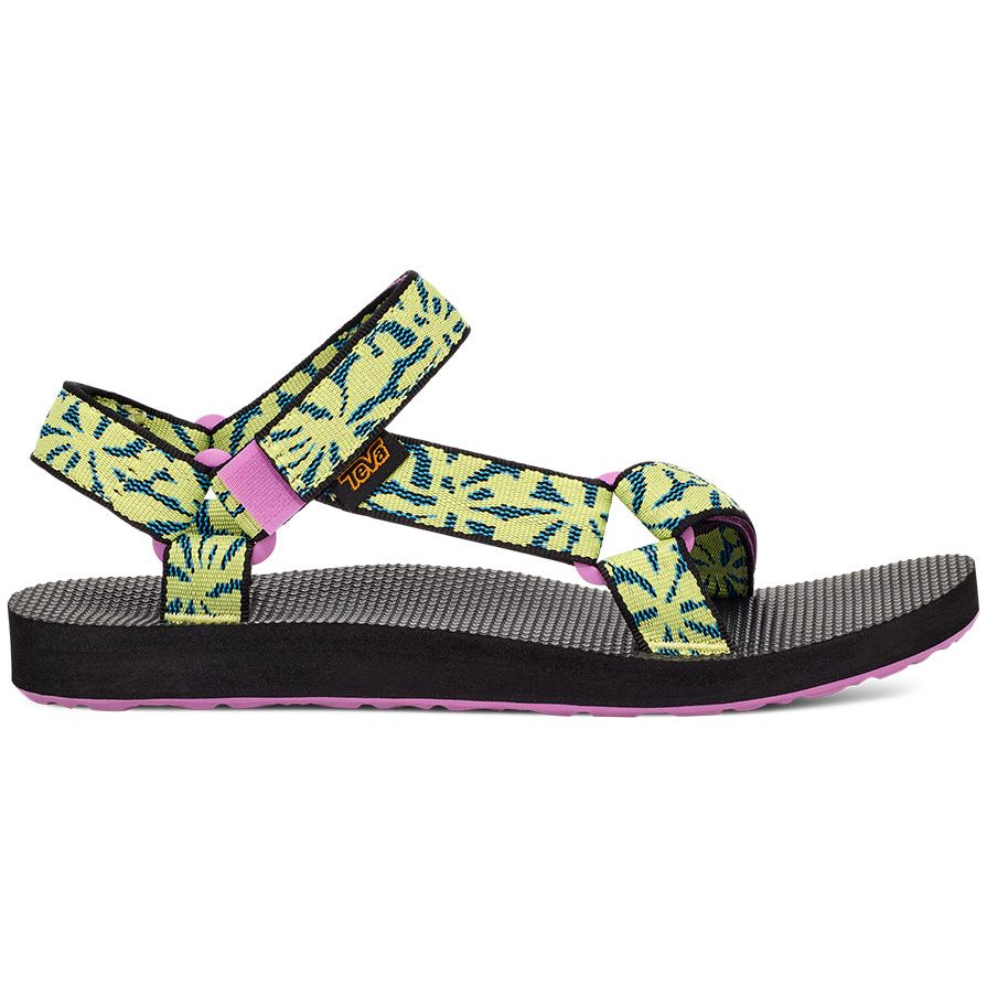 Teva Women's Original Universal Sandal in Beach Floral Wild Lime  Women's Footwear