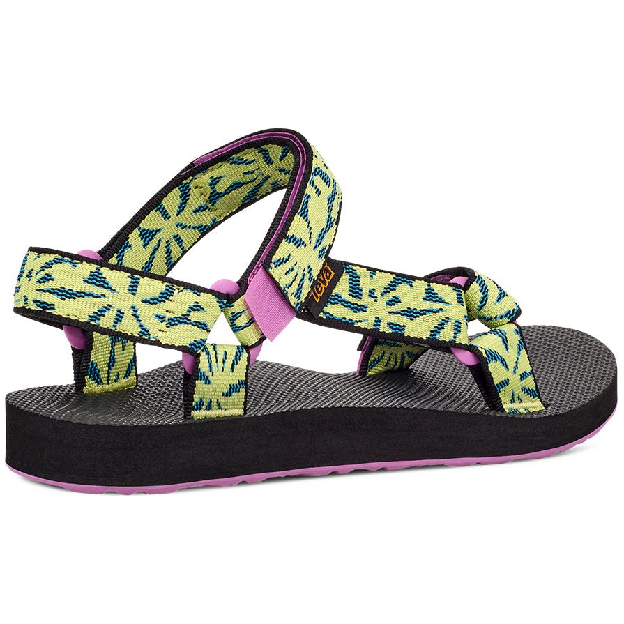 Teva Women's Original Universal Sandal in Beach Floral Wild Lime  Women's Footwear