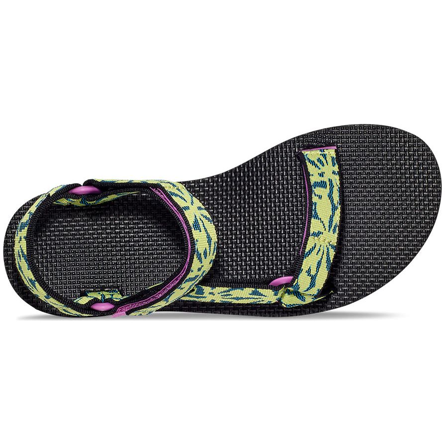 Teva Women's Original Universal Sandal in Beach Floral Wild Lime  Women's Footwear