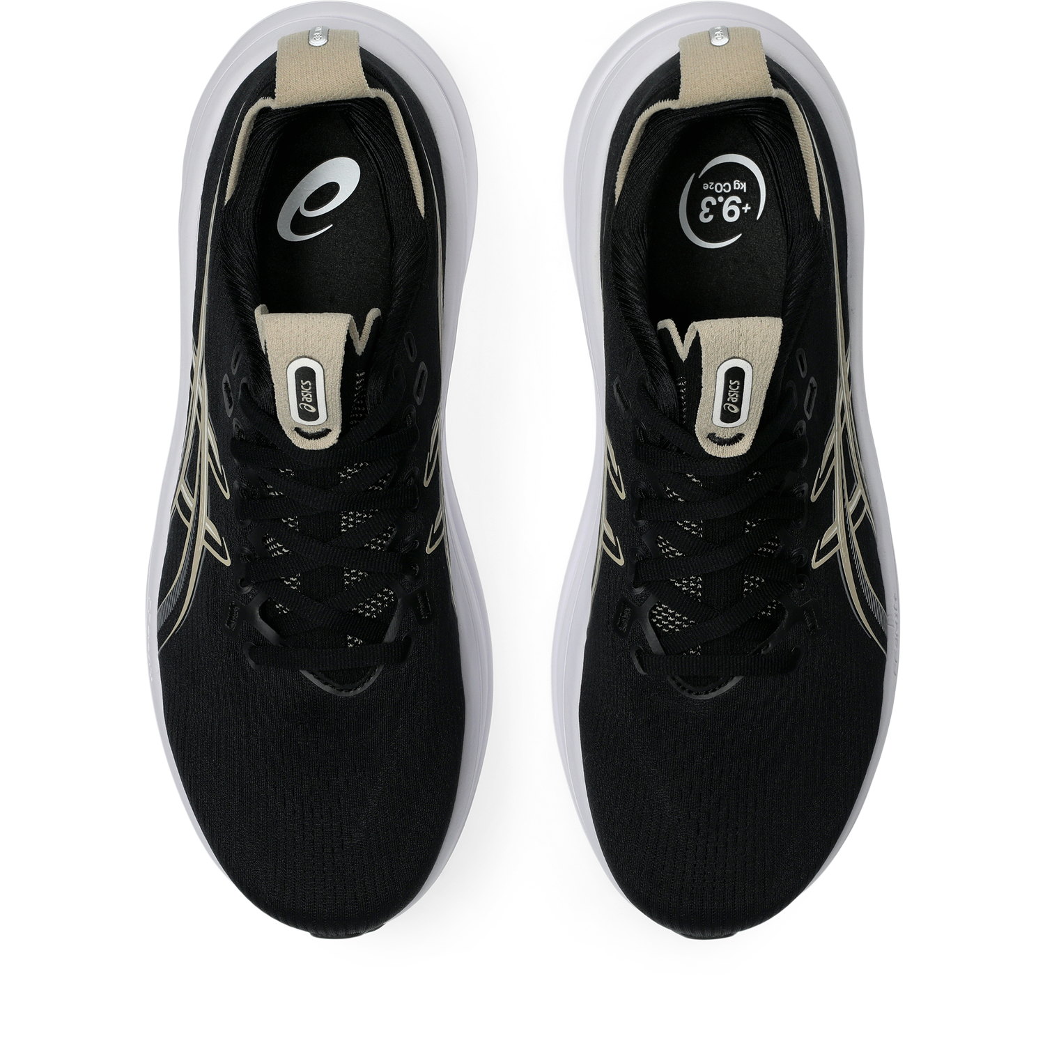 #color_black-feather-grey