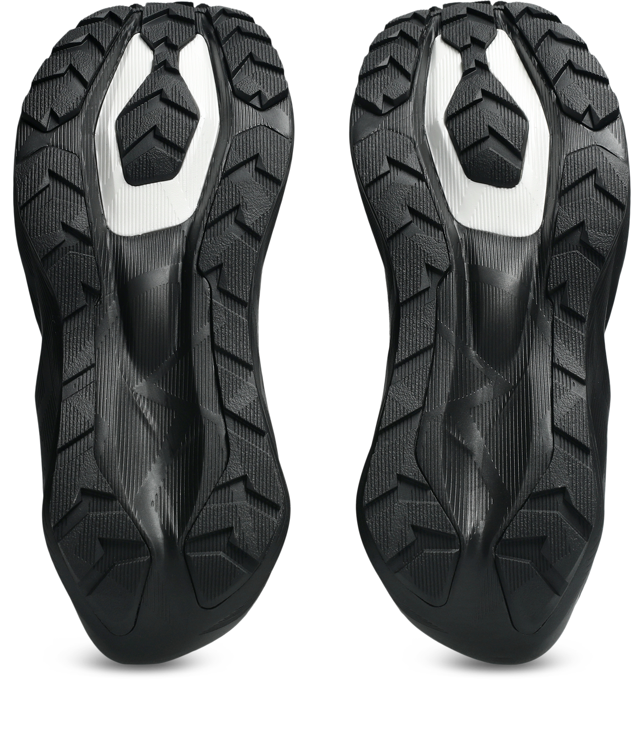 Asics Women's Novablast 6 GTX Shoes