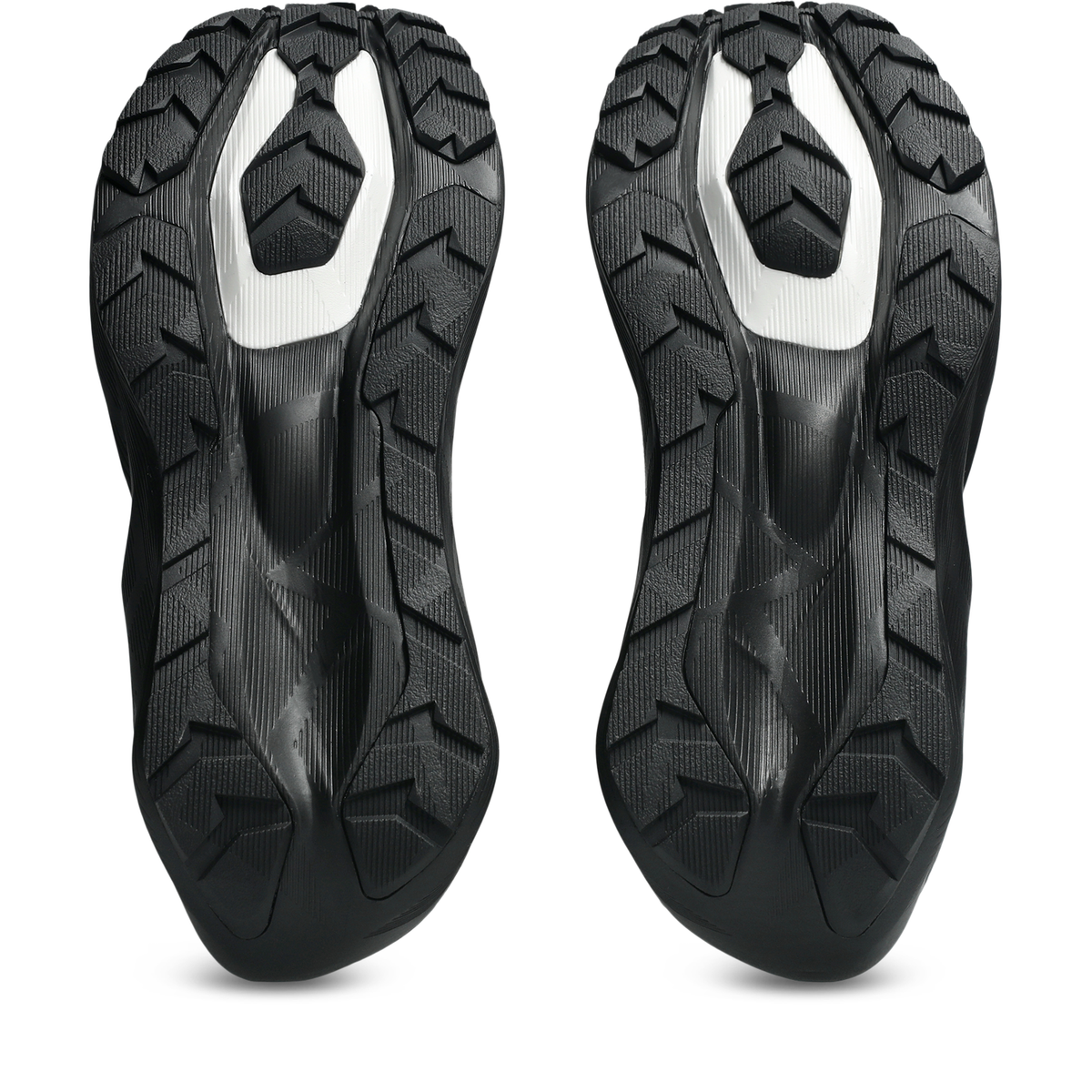 Asics Women's Novablast 6 GTX Shoes