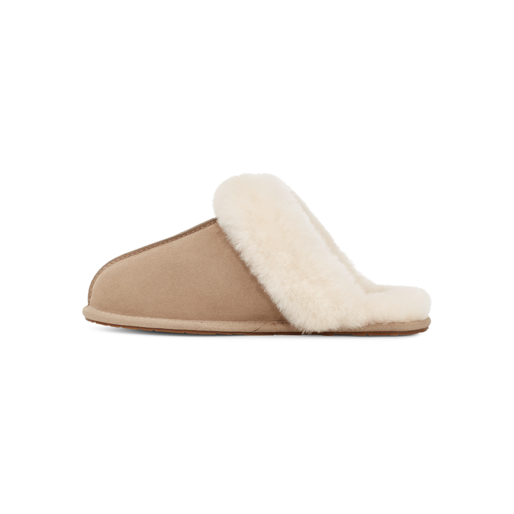 Ugg scuffette slippers top nordstrom