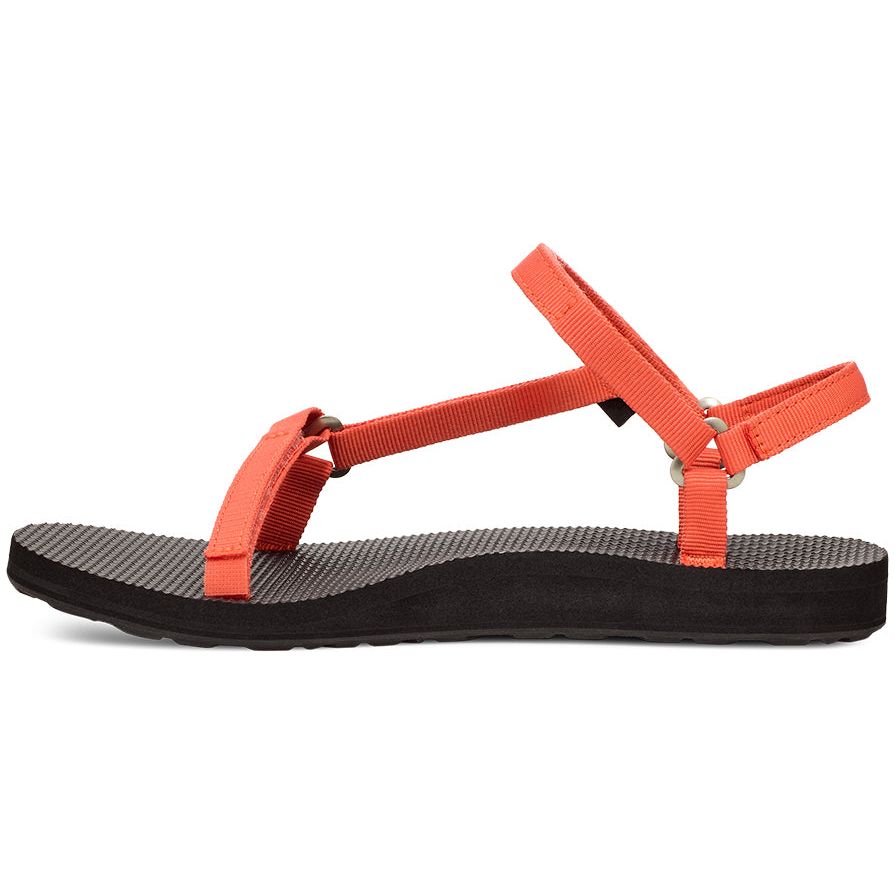 Teva Women's Original Universal Slim Sandal in Tigerlily  Women's Footwear