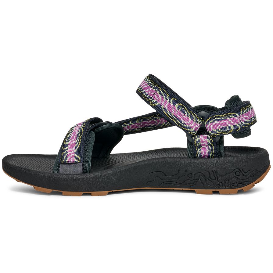 #color_archive-topo-striking-purple