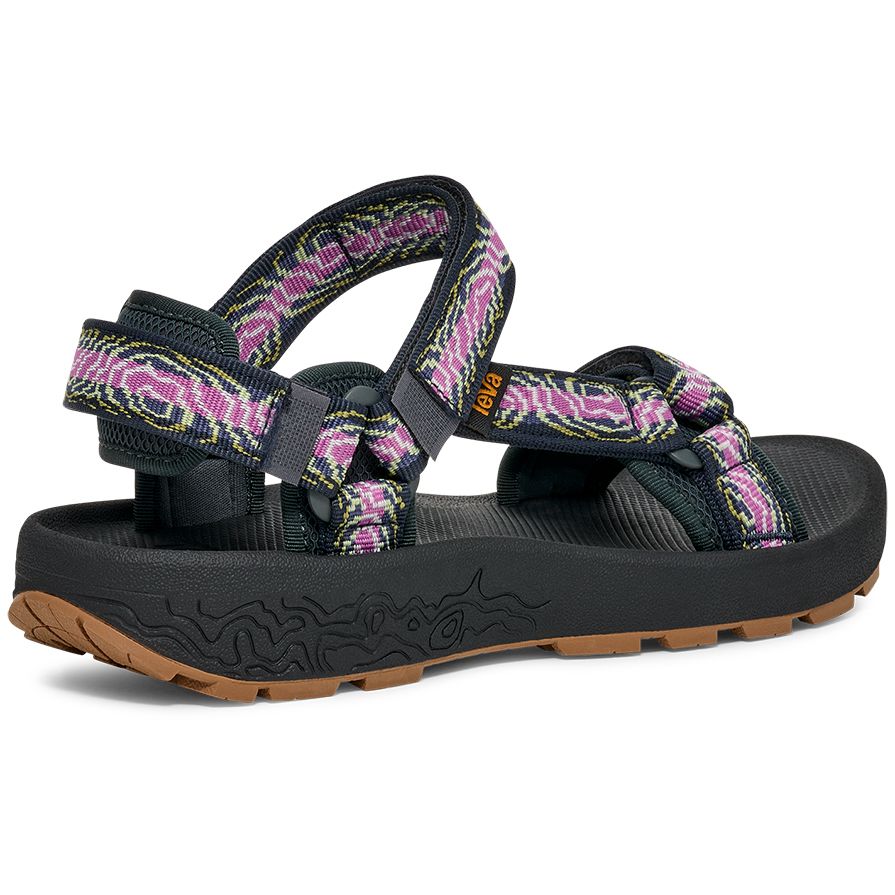 #color_archive-topo-striking-purple