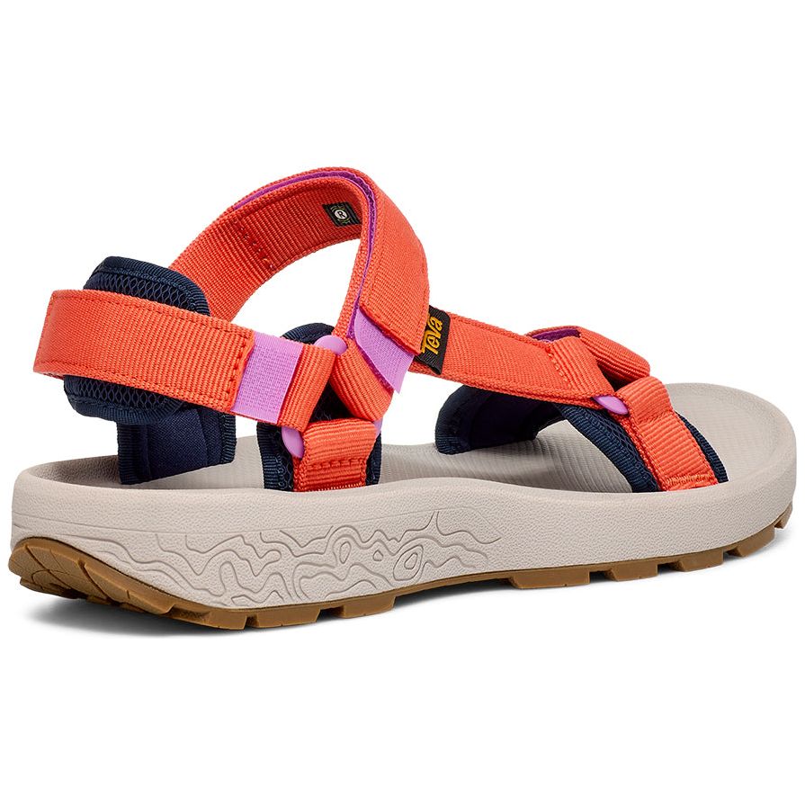 Teva Women's Hydratrek Sandal in Tigerlily  Women's Footwear