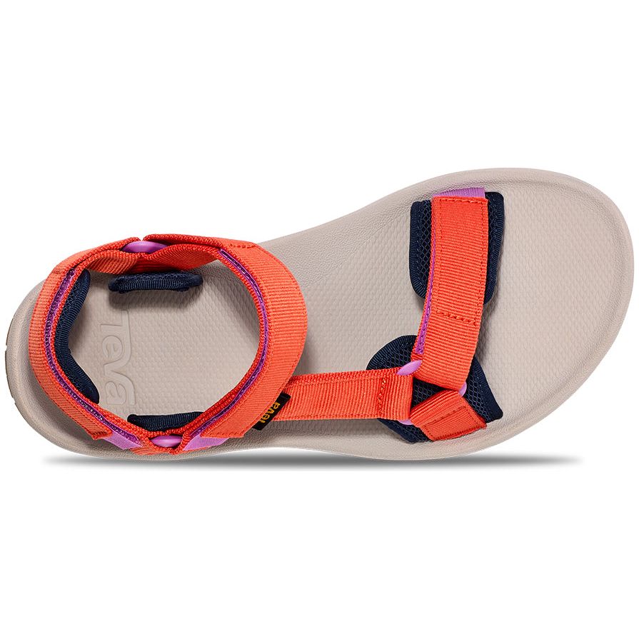 Teva Women's Hydratrek Sandal in Tigerlily  Women's Footwear