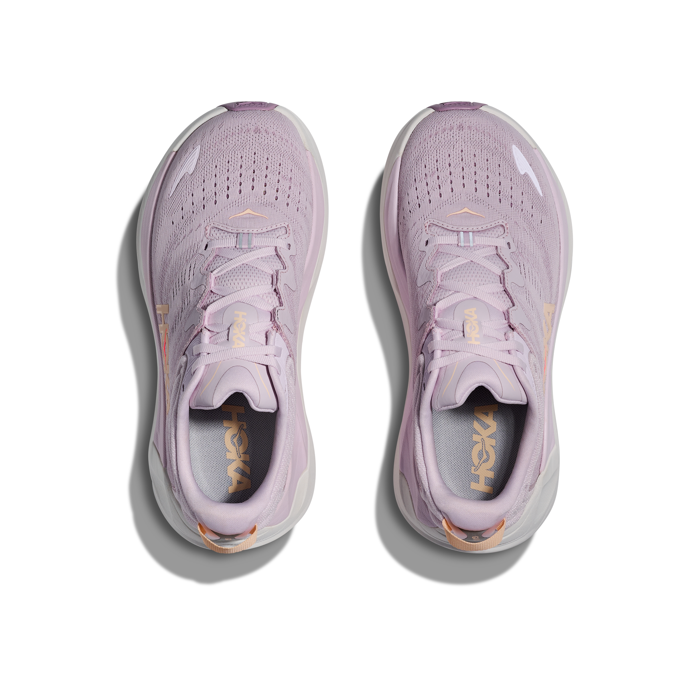 #color_lilac-cream-fragrant-lilac