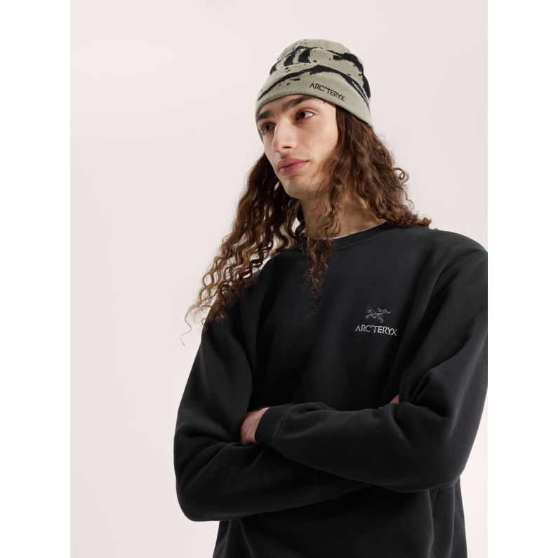 帽子 FREAK'S STORE arcteryx Grotto Toque Arc'teryx Grotto Toque