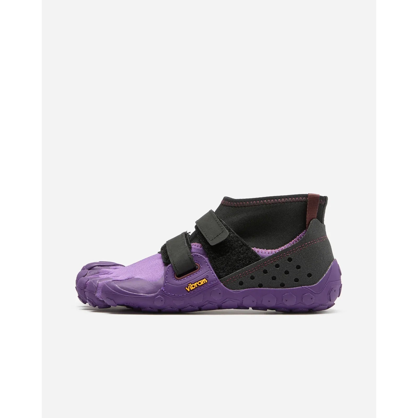 #color_purple-black
