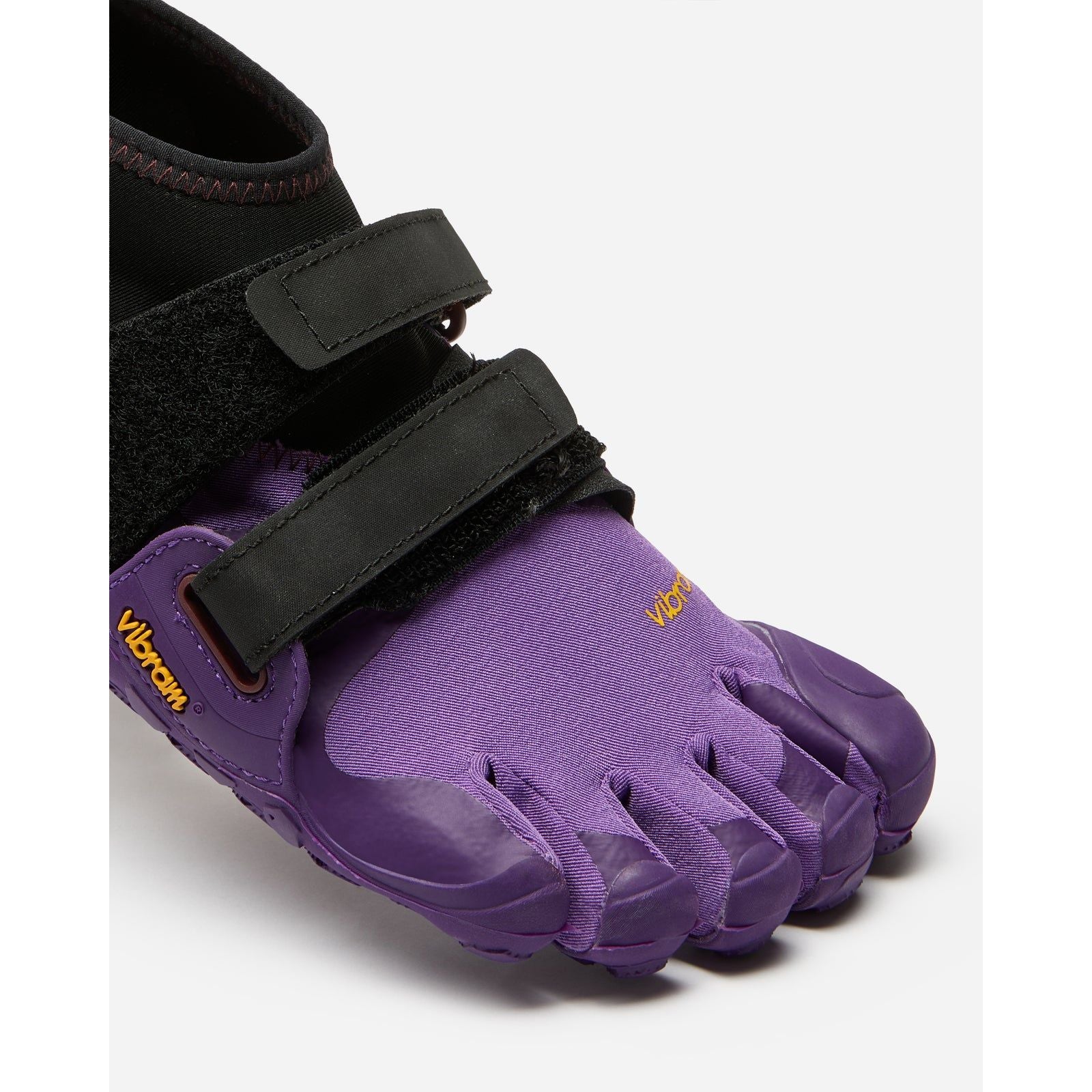 #color_purple-black