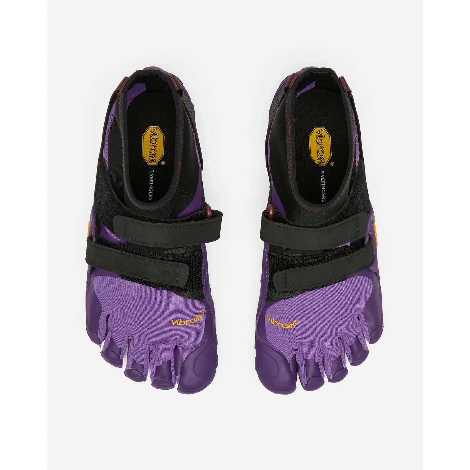 #color_purple-black