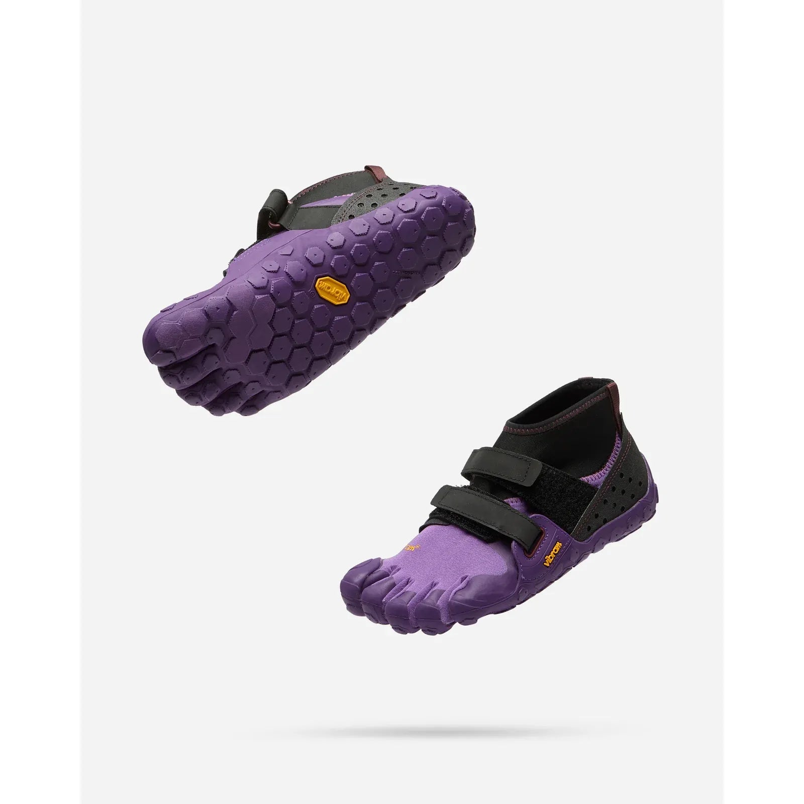 #color_purple-black