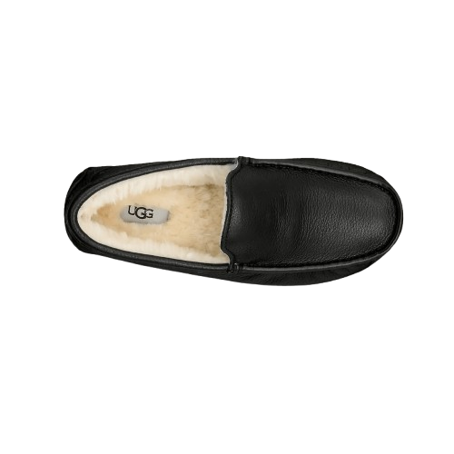 UGG Men's Ascot Wide in Black