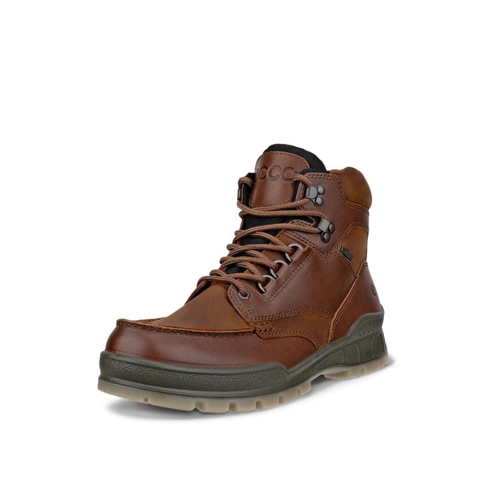 ECCO Men's Track 25 Leather Gore-Tex Mid-Cut Boot | Bison