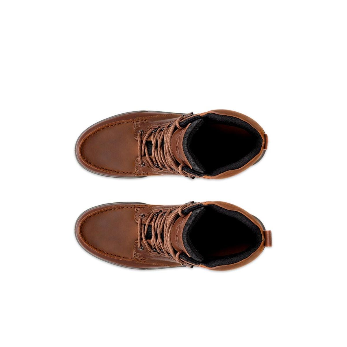 ECCO Men's Track 25 Leather Gore-Tex Mid-Cut Boot | Bison