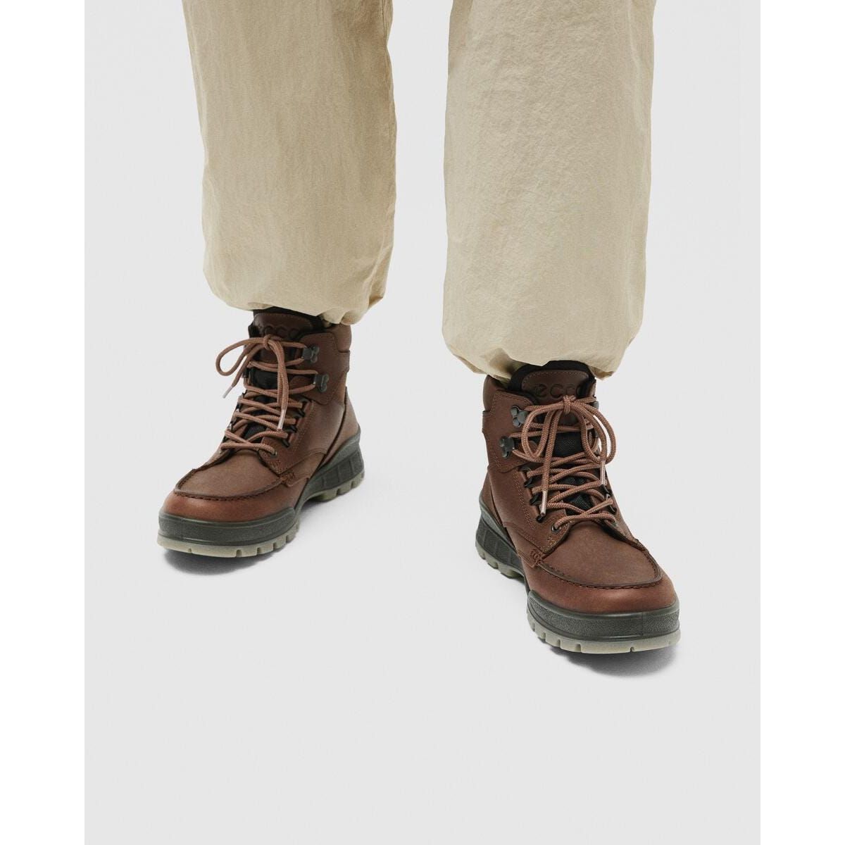 ECCO Men's Track 25 Leather Gore-Tex Mid-Cut Boot | Bison