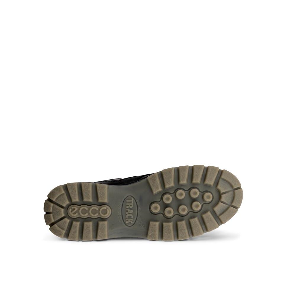 ECCO Men's Track 25 Leather Gore-Tex Shoe | Black