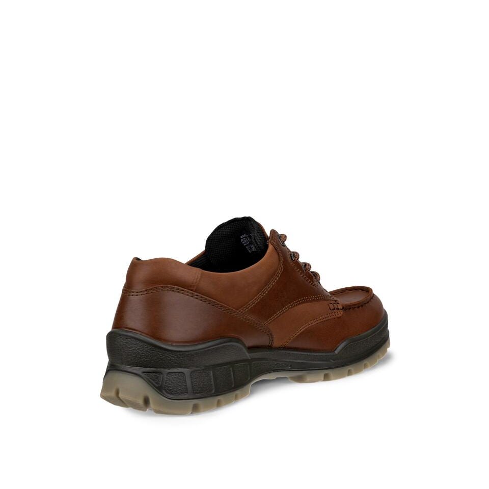 ECCO Men's Track 25 Leather Gore-Tex Shoe | Bison