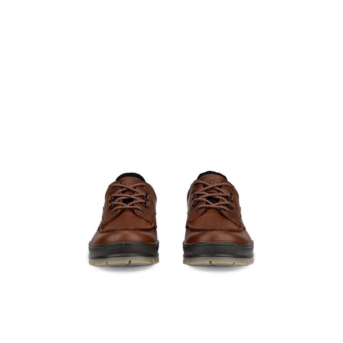 ECCO Men's Track 25 Leather Gore-Tex Shoe | Bison