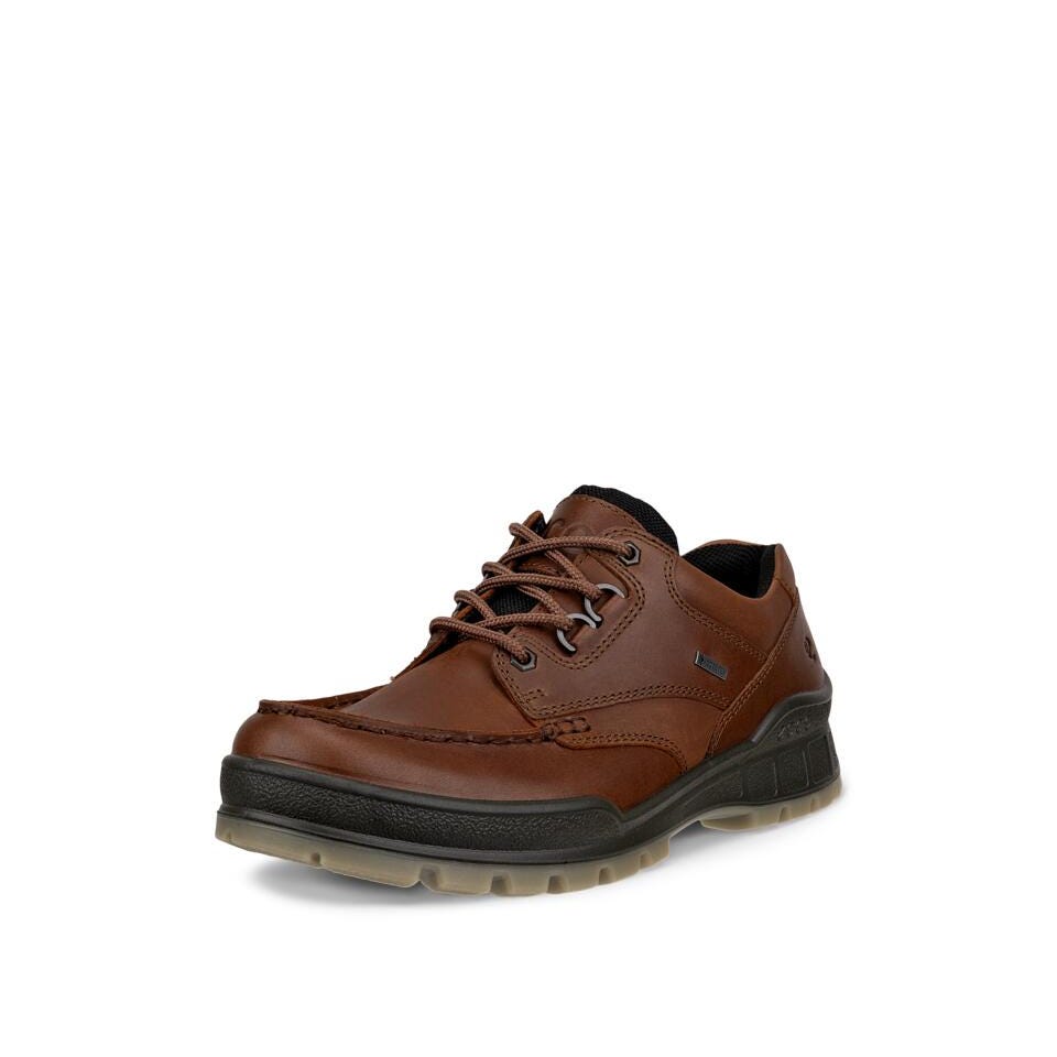 ECCO Men's Track 25 Leather Gore-Tex Shoe | Bison