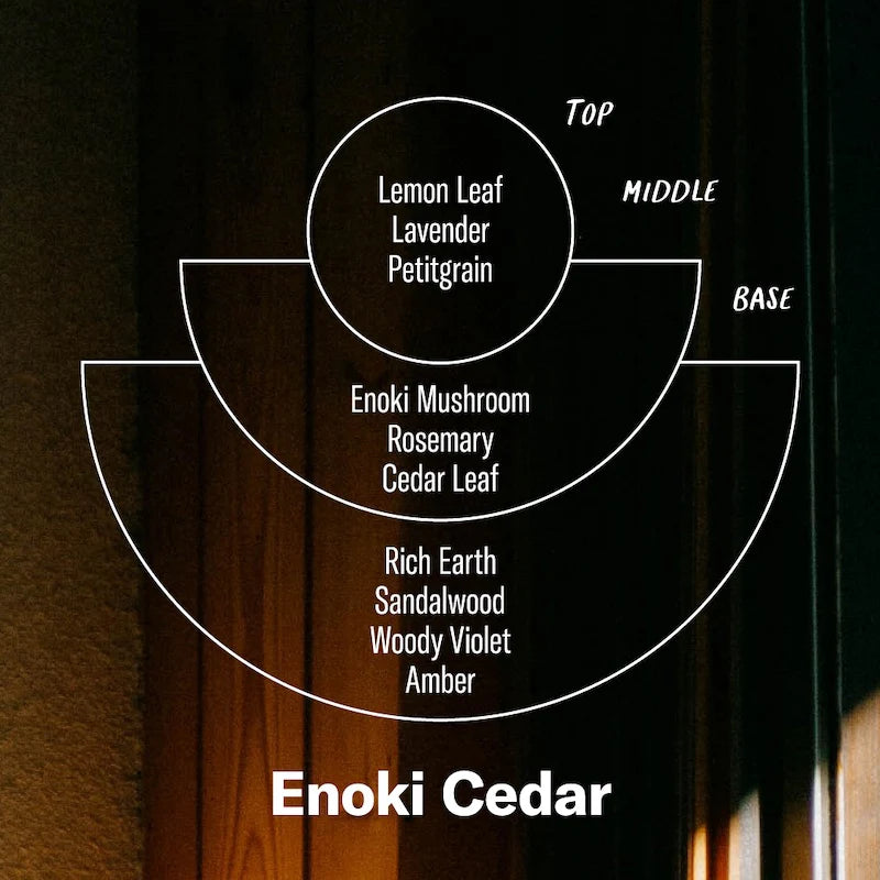 P. F. Candle Co. Enoki Cedar Alchemy Candle  Accessories