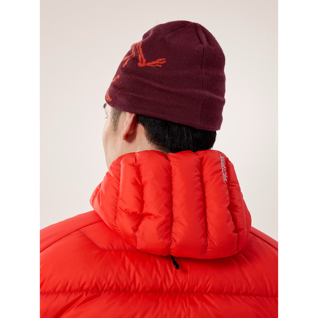帽子 ARC'TERYX Bird Head Toque Red Arcteryx Unisex Bird Head Toque - Red | George Fisher