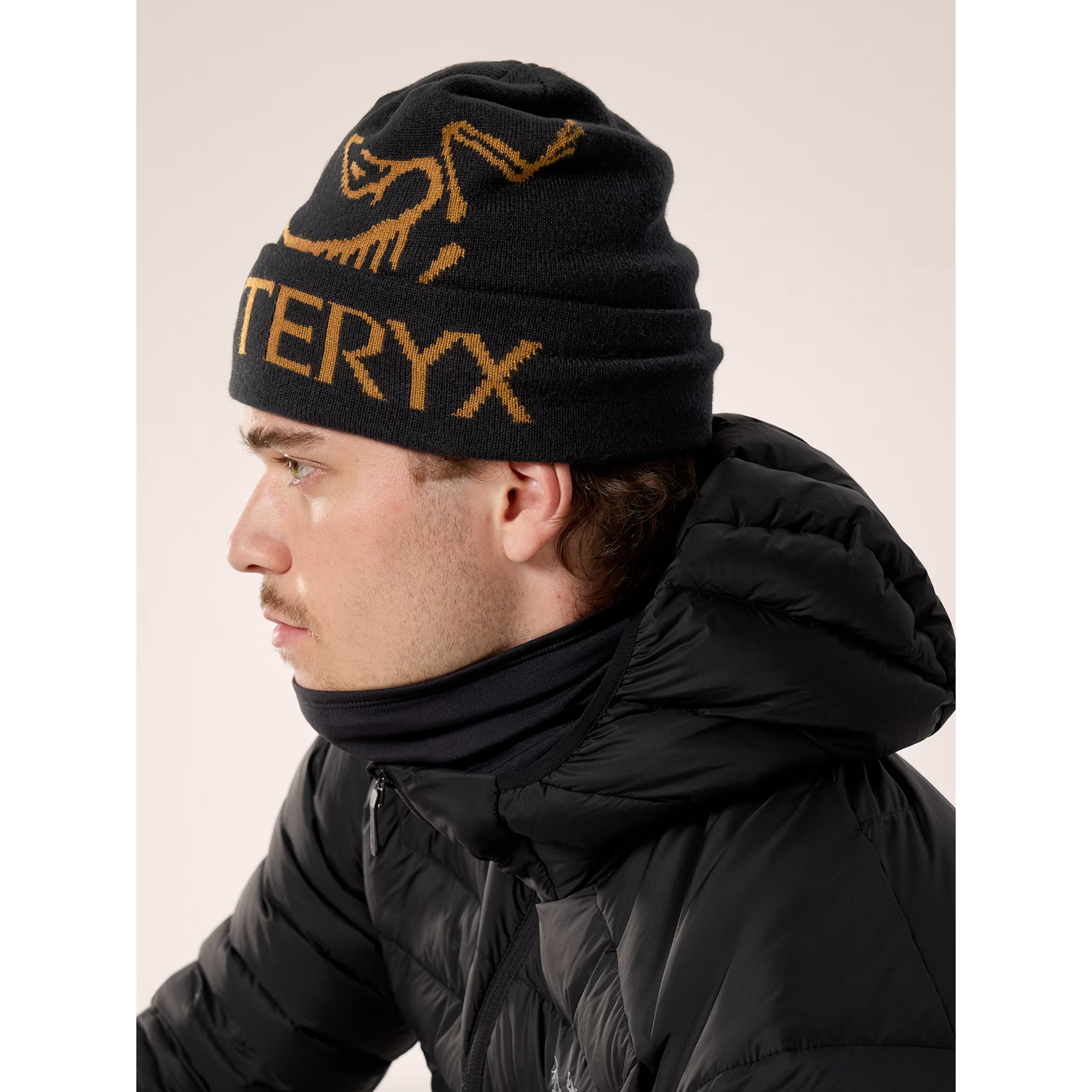 Arc'teryx Bird Word Toque Arc'teryx Bird Word Toque