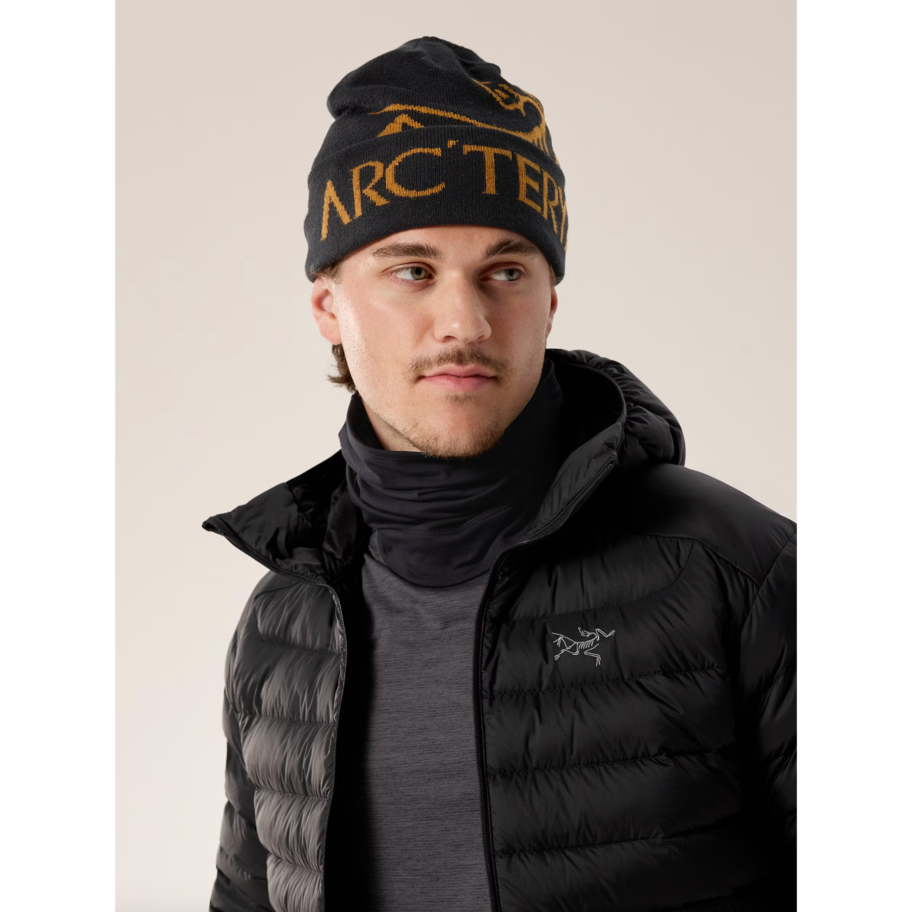 ARC'TERYX Bird Word Toque ブラック Bird Word Toque | ARC'TERYX(アークテリクス) / 帽子 ニット