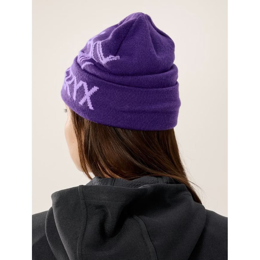 Arc'teryx Bird Word Toque in Azalea/Aster