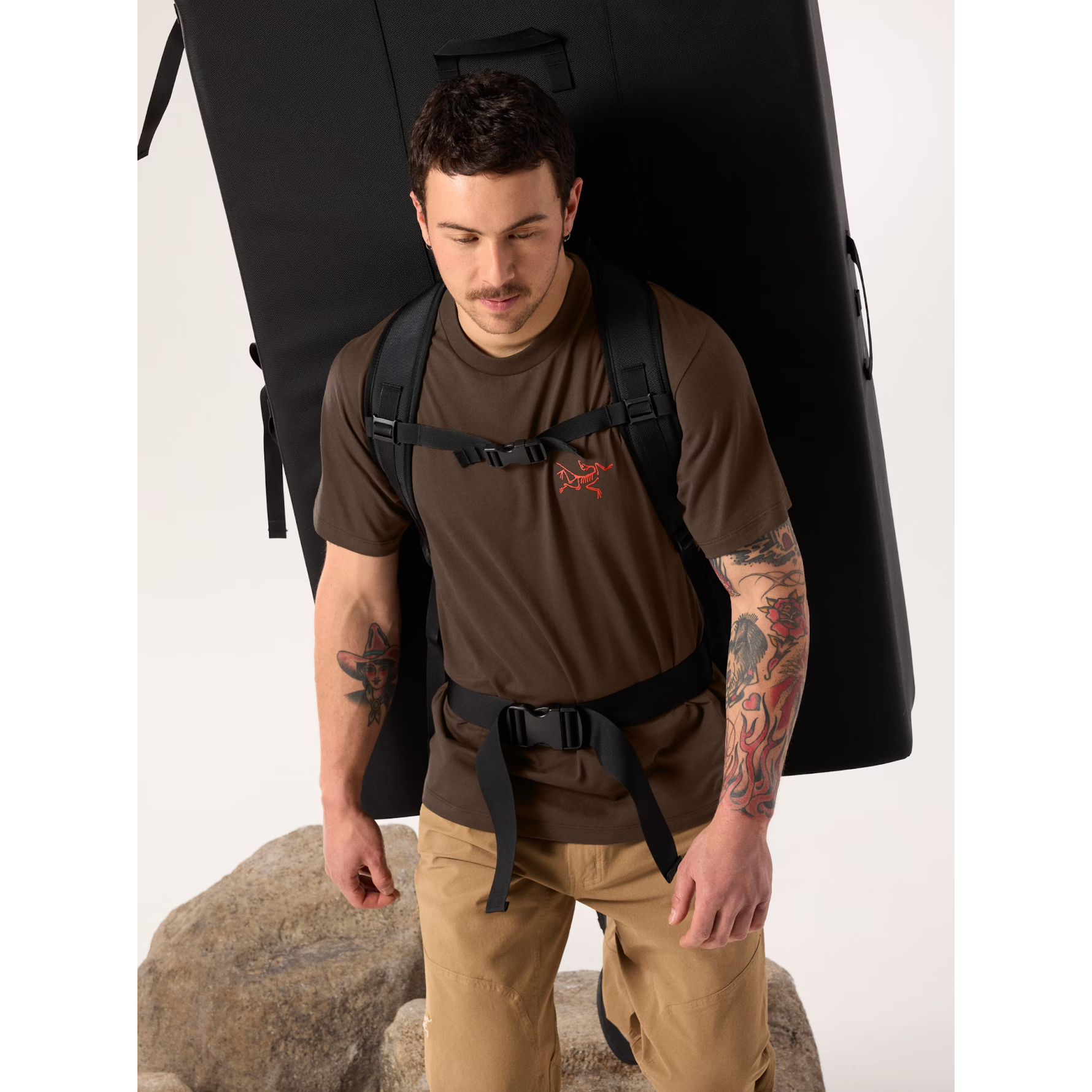 #color_carob-dynasty