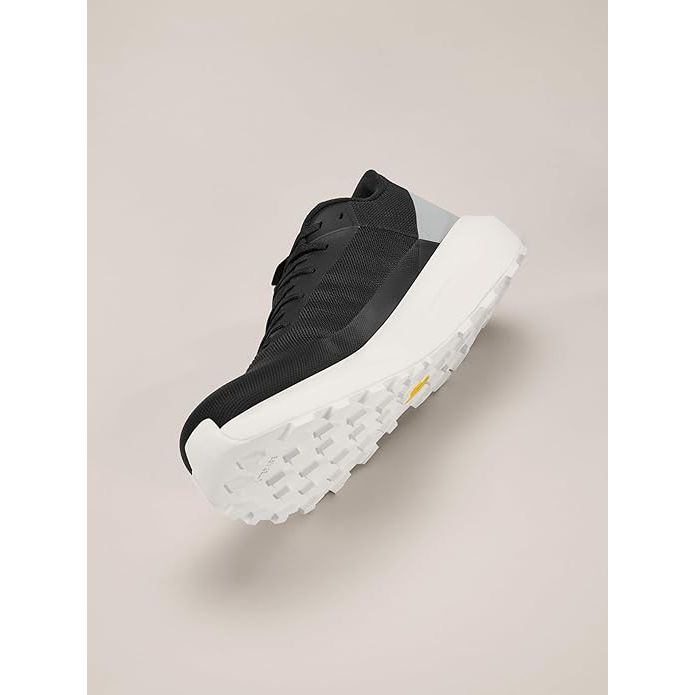Arc'teryx Men's Norvan LD 4