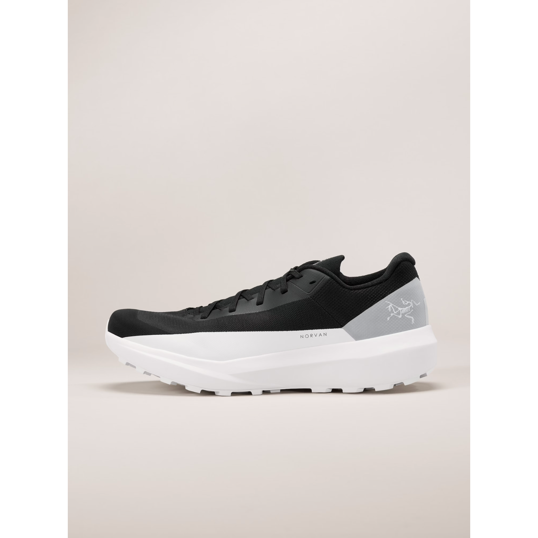 Arc'teryx Men's Norvan LD 4