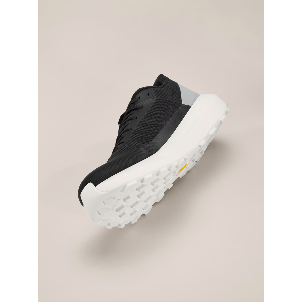 Arc'teryx Men's Norvan LD 4