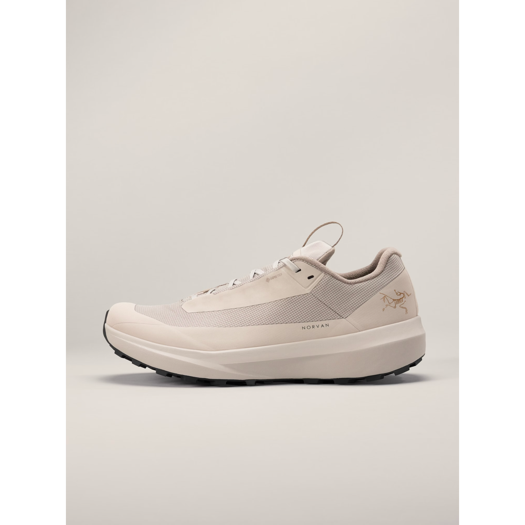 Arc'teryx Men's Norvan LD 4 GTX Arc'teryx Men's Norvan LD 4 GTX
