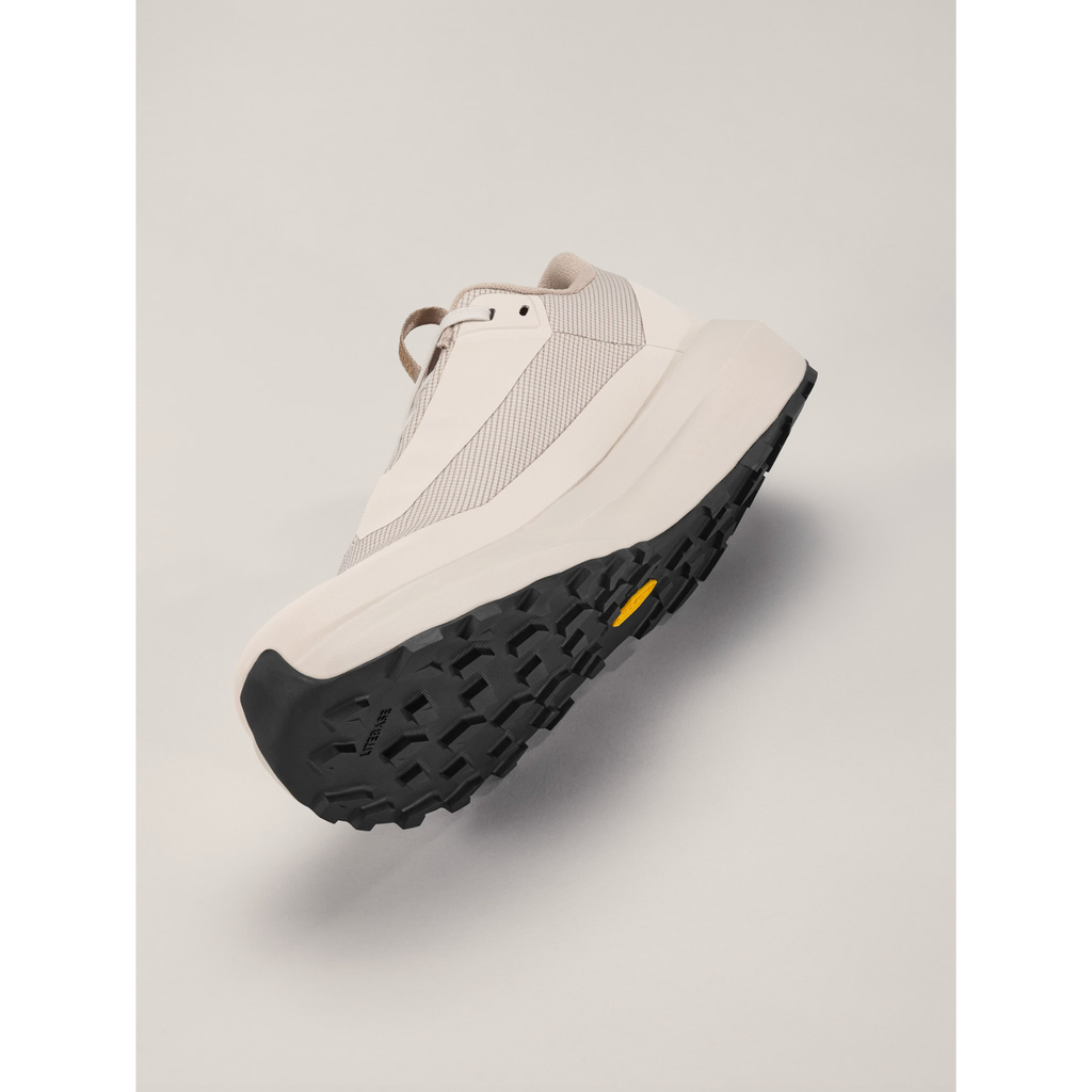 Arc'teryx Men's Norvan LD 4 GTX