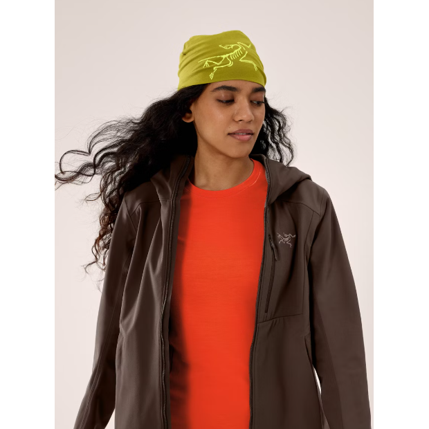 #color_olive-moss-euphoria
