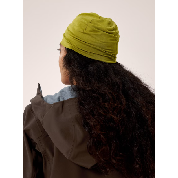 #color_olive-moss-euphoria