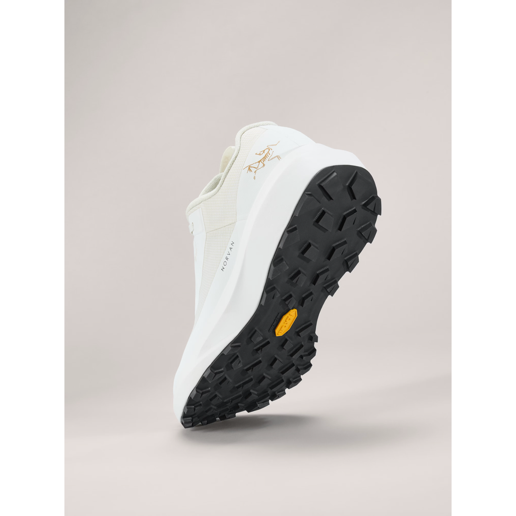 Arc'teryx Women's Norvan LD 4 GTX