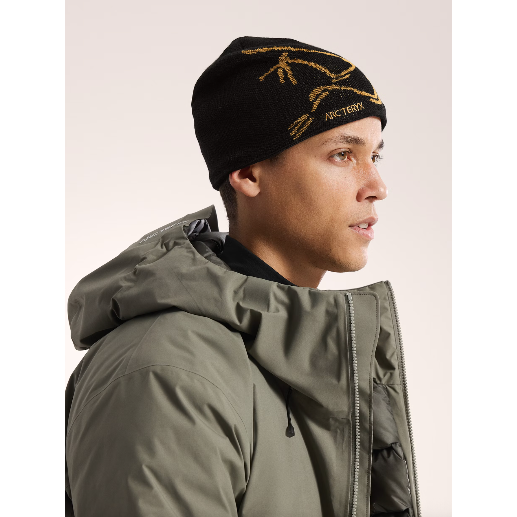 Arc'teryx Bird Head Toque