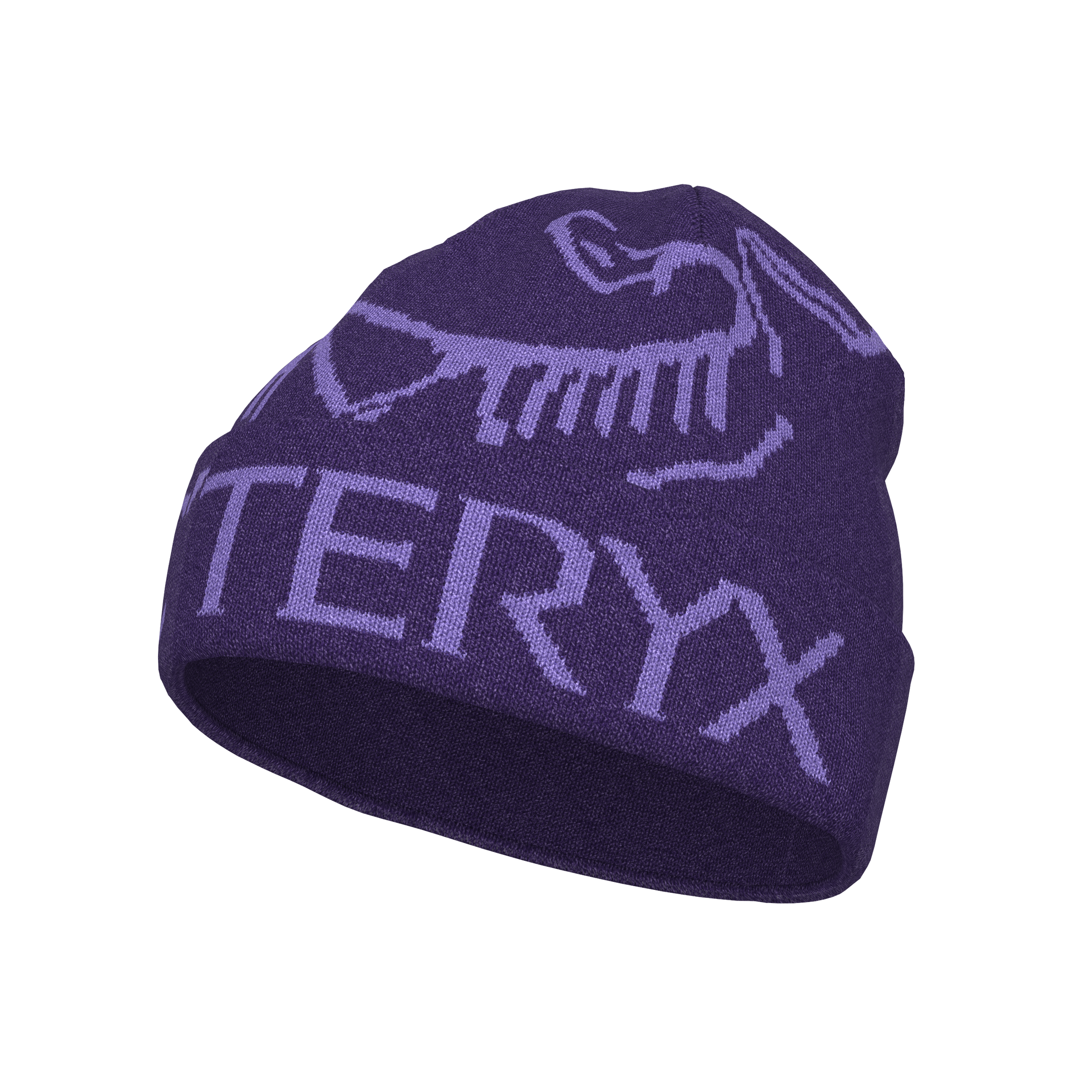 Arc'teryx Bird Word Toque | Azalea/Aster