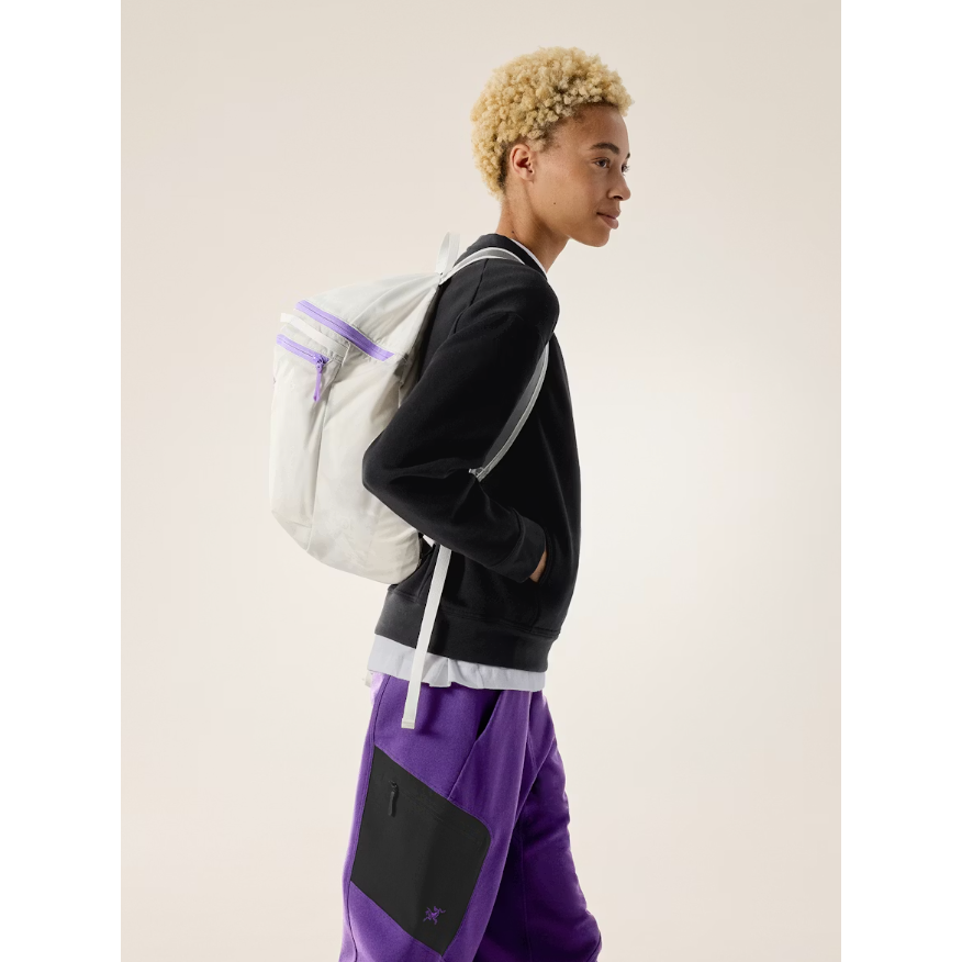 #color_arctic-silk-aster