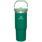 Stanley IceFlow Flip Straw Tumbler 30oz in Alpine