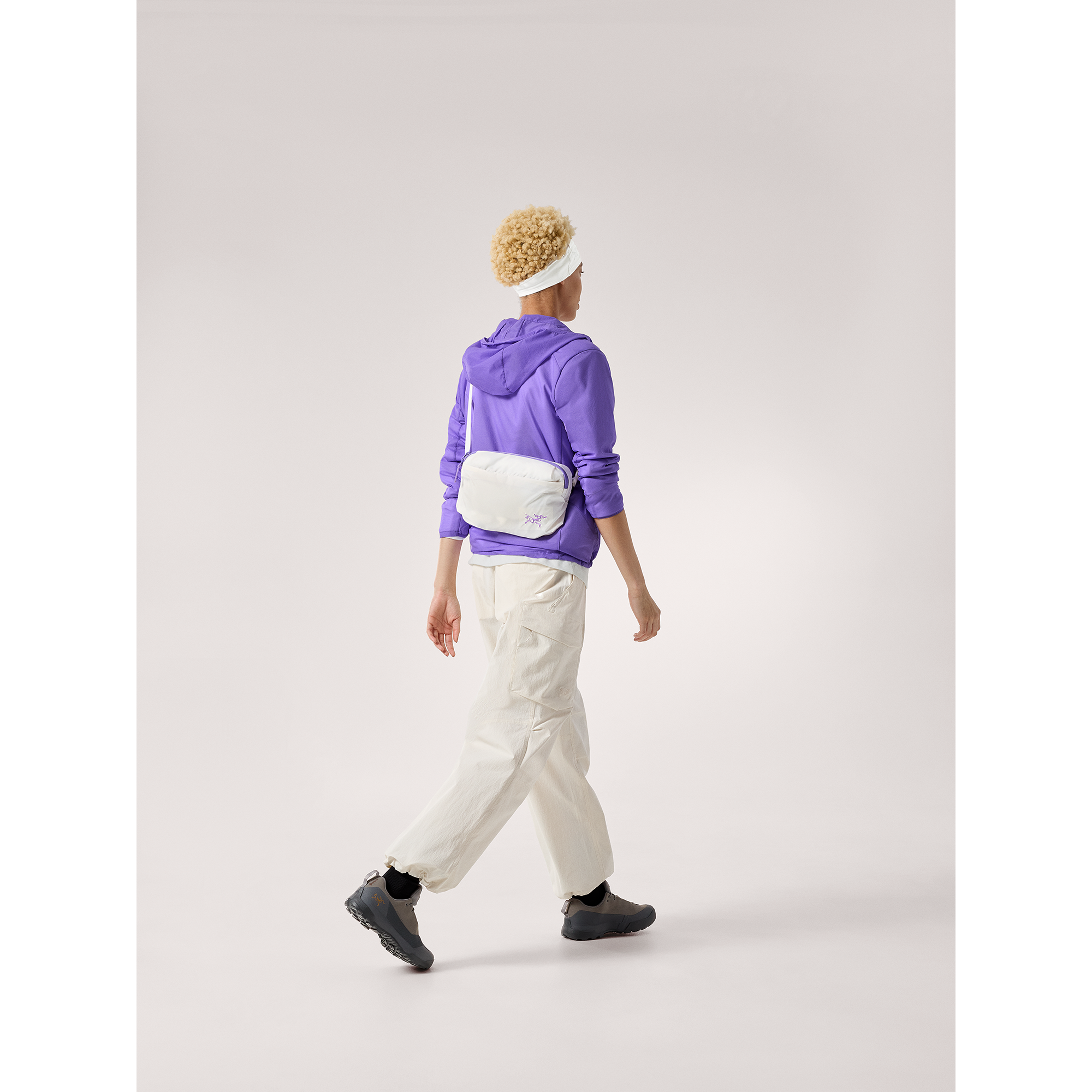 #color_arctic-silk-aster