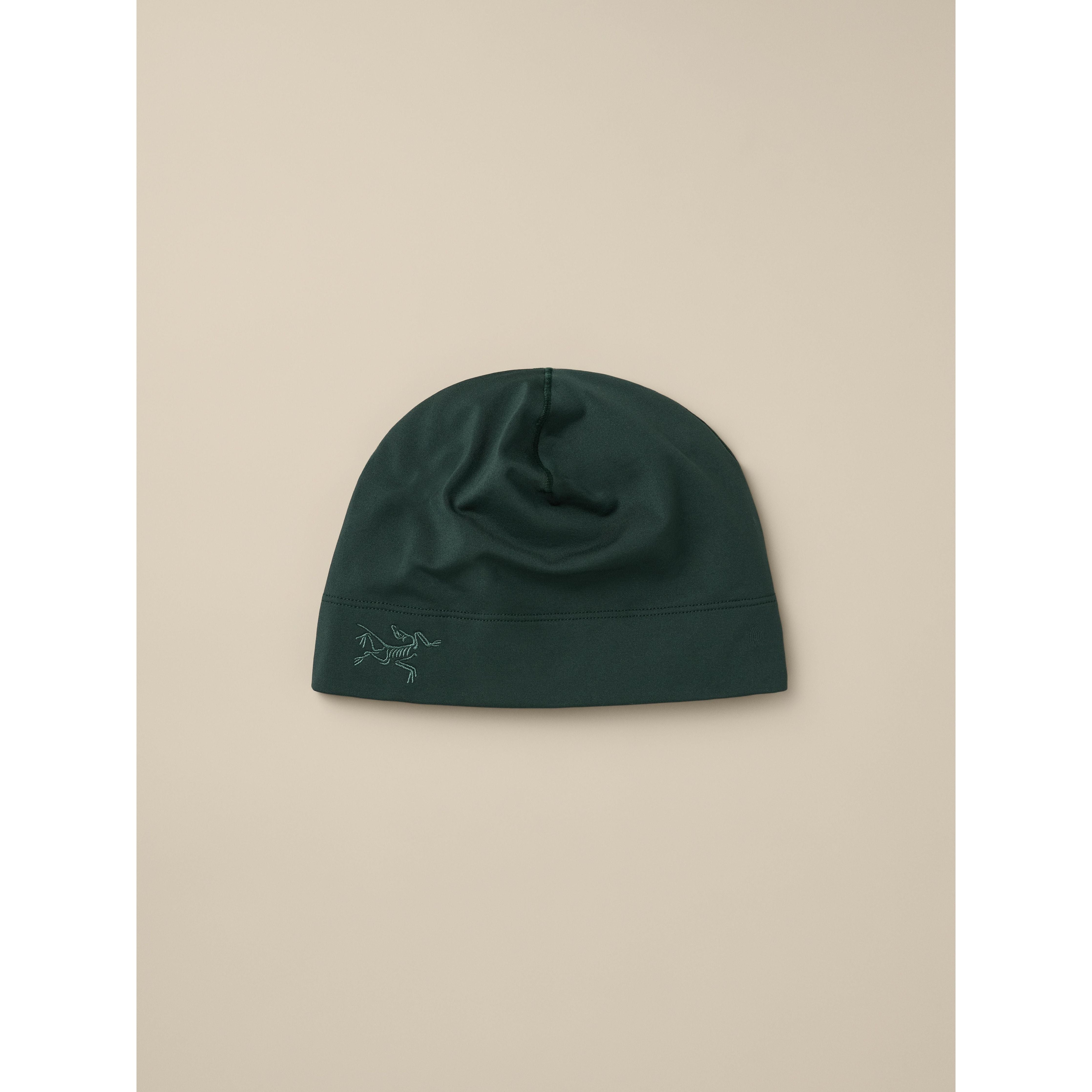 Arc'teryx Rho Toque