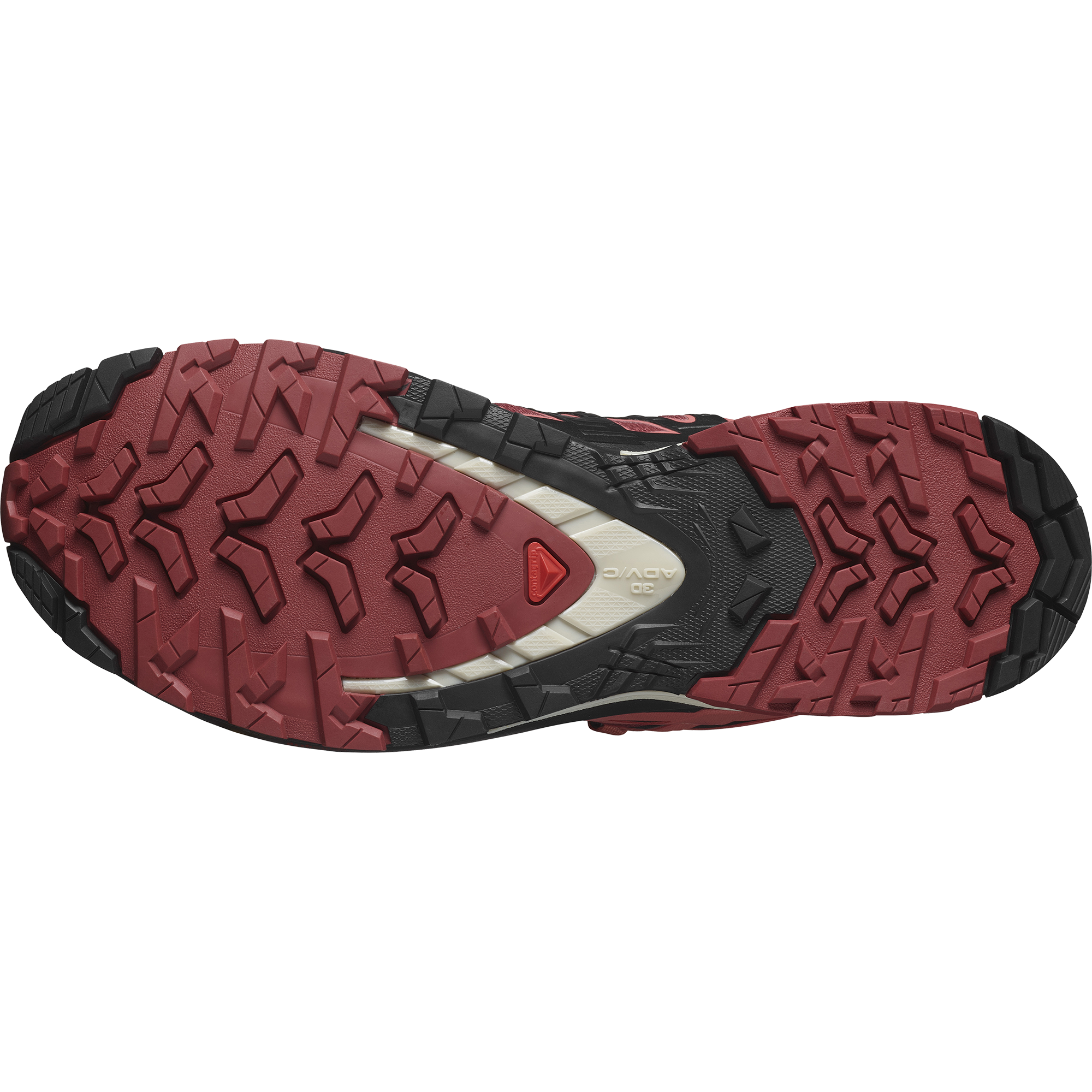 Salomon Women's XA Pro 3D V9 Gore-Tex in Cow Hide Black Faded Rose  Women's Footwear