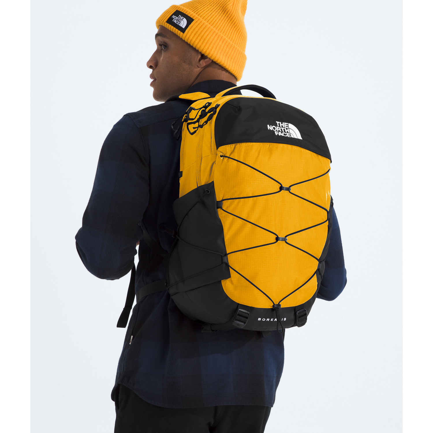 #color_summit-gold-tnf-black