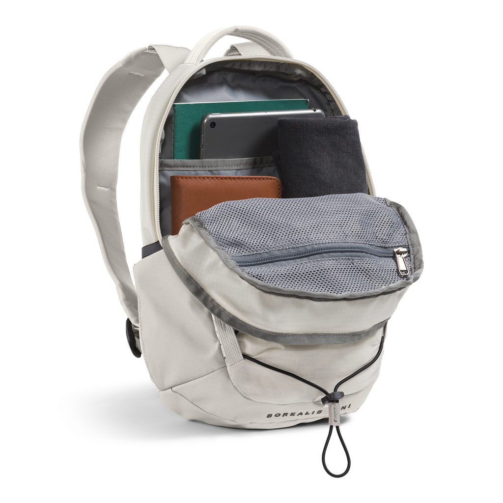 The North Face Borealis Mini Backpack